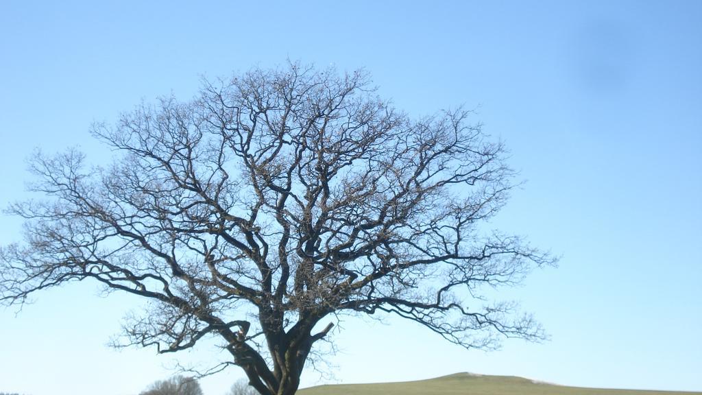 Pension Sonnenschein Schmallenberg Exteriör bild